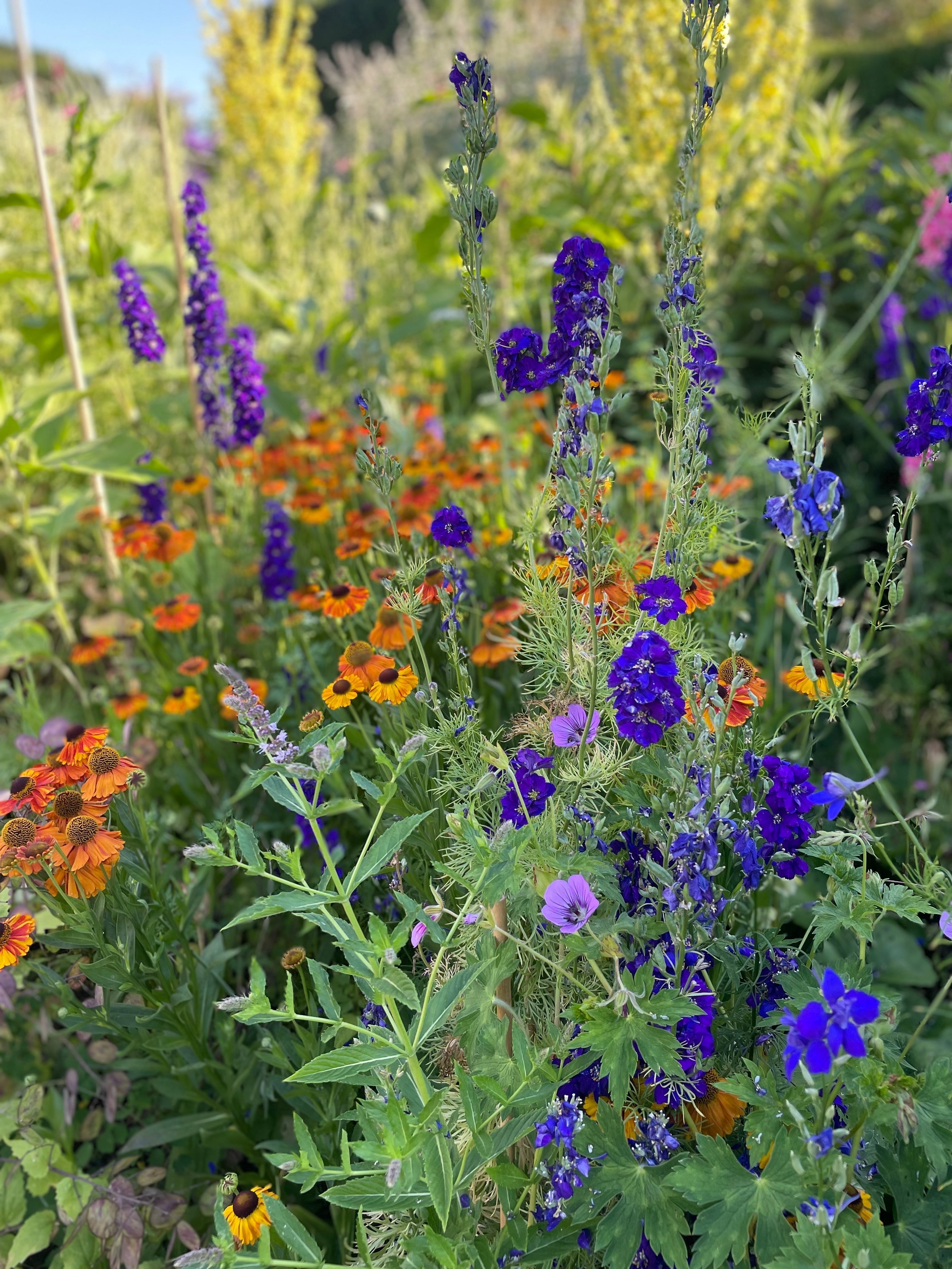Solar garden changeover
