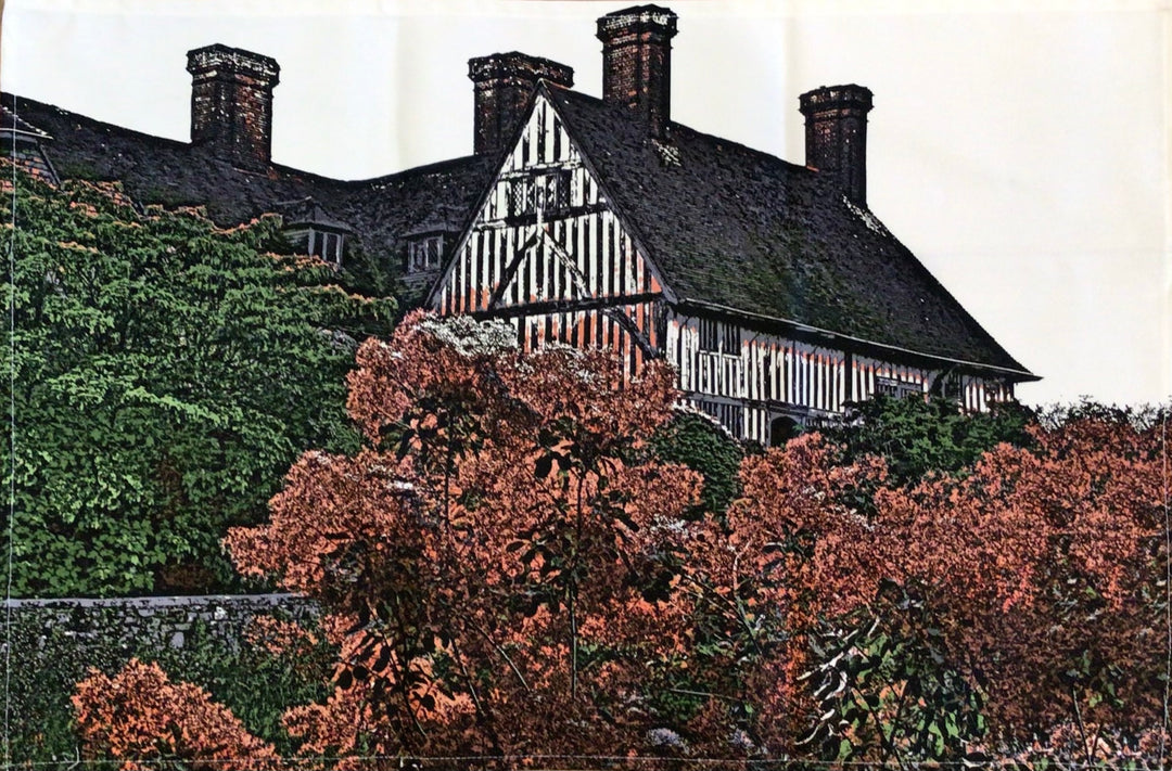 Cotinus against the Yeoman's Tea Towel