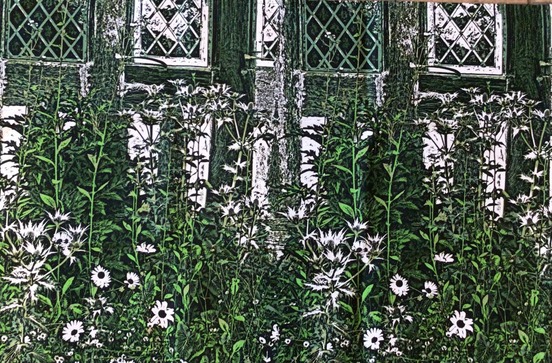 Eryngium M|iss Willmott's Ghost against the Great Hall Tea Towel