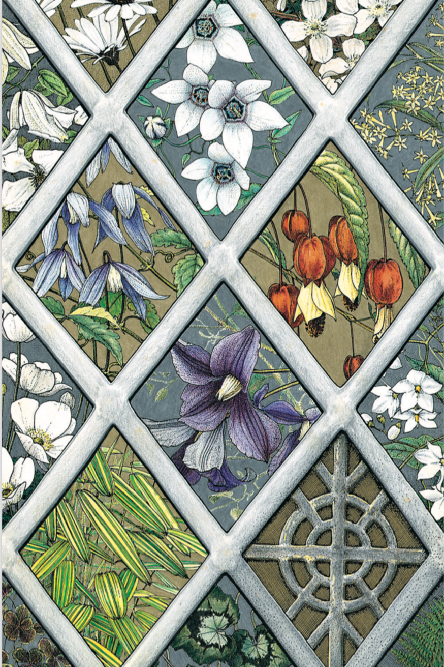 Study Day Gift Voucher