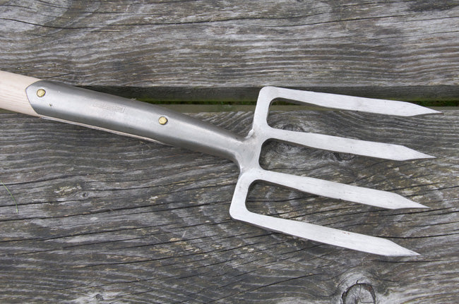 Border Fork