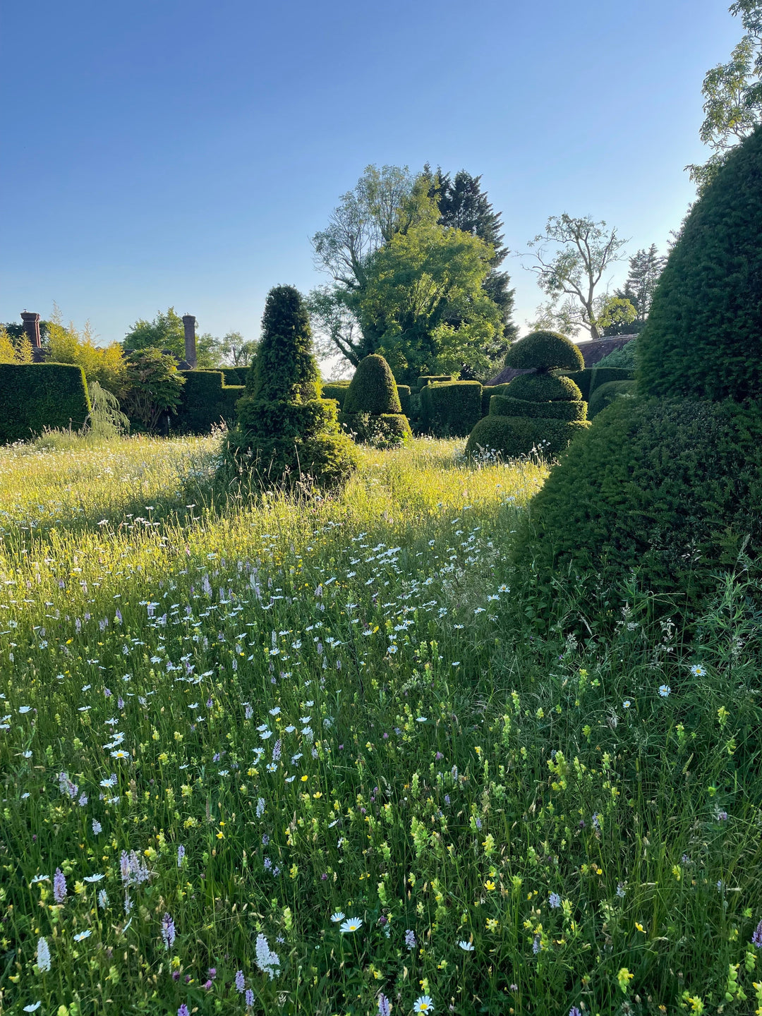 Meadow moment