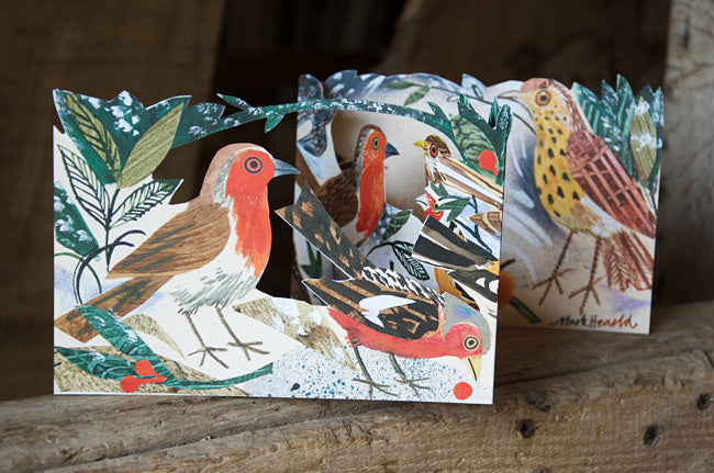 Birds Fold Out Card